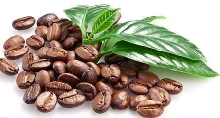 咖啡中含有的“綠原酸”有預防肥胖相關疾病